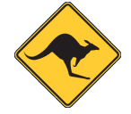 The Central Midlands Skippycoin ICG